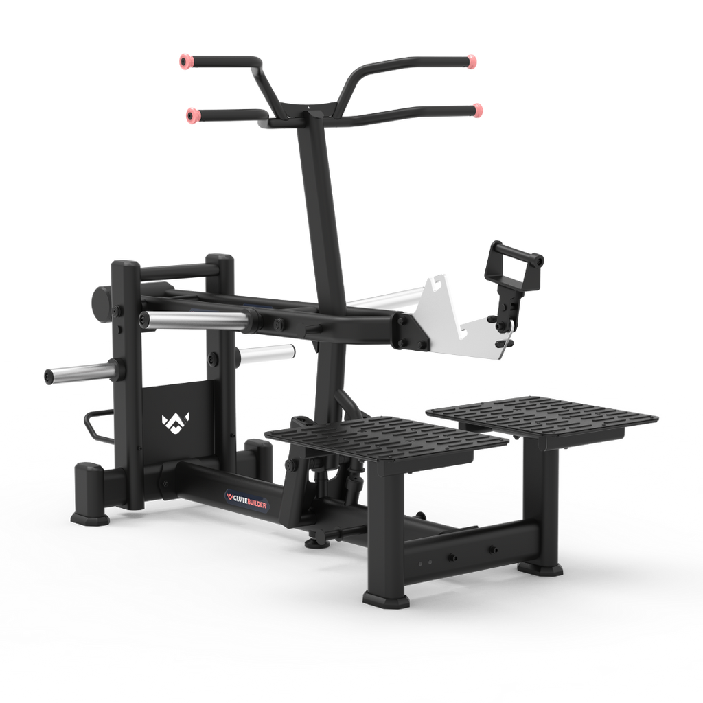 BELT SQUAT / STEP UP