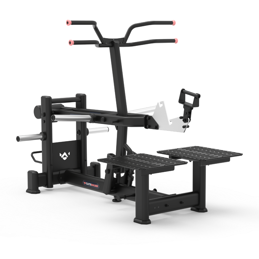 BELT SQUAT / STEP UP