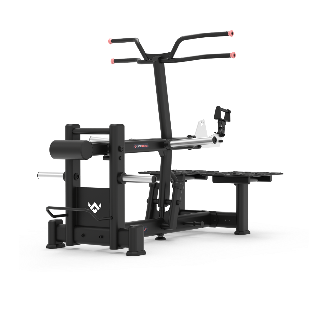 BELT SQUAT / STEP UP