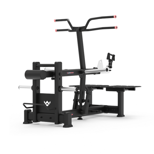 BELT SQUAT / STEP UP