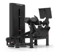 DUAL 45 HIP EXTENSION - SELECTORIZED (NEW)